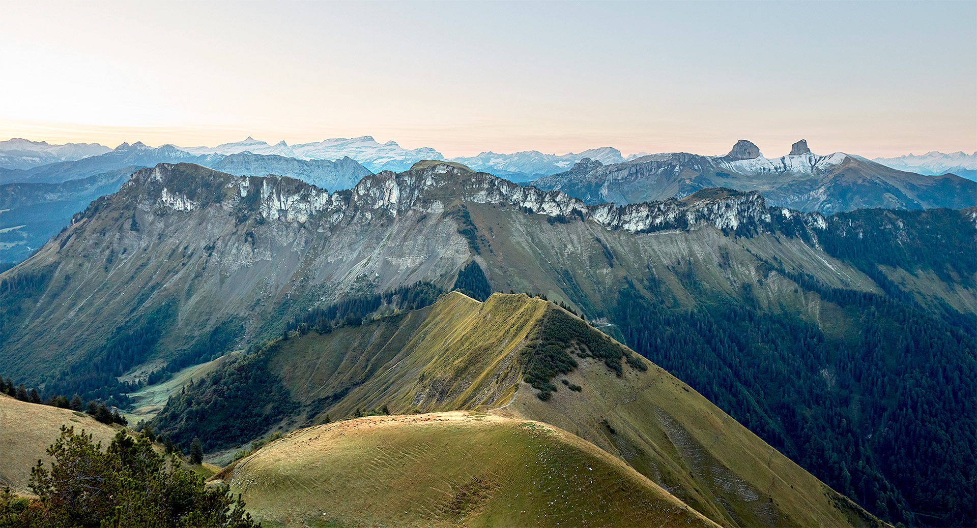 jardin alpin-suisse